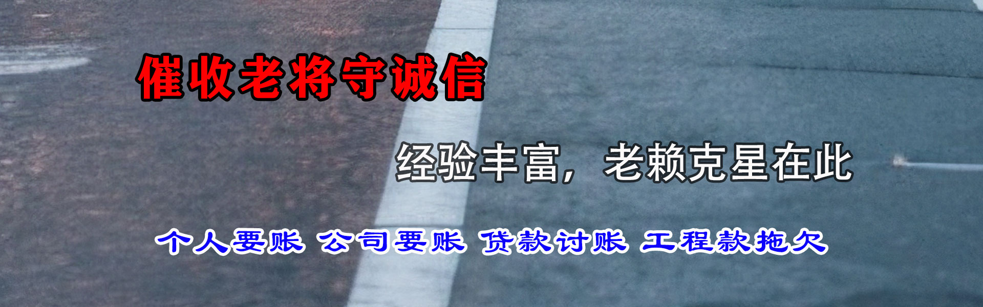 鸠江清债公司